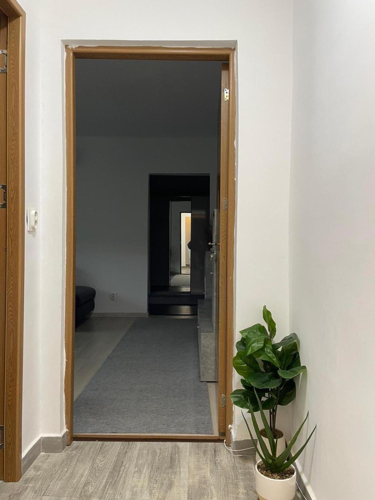 Apartament Inu โอร์โชวา ภายนอก รูปภาพ